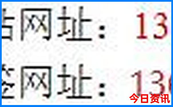 黄大仙正版资料